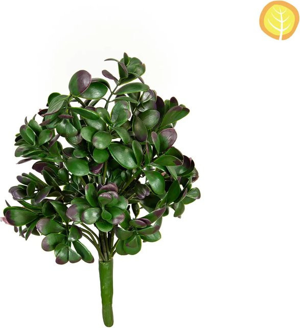Künstlicher Pittosporum Marvin von Aplanta, Grün, Höhe: 37 cm - Bild 1