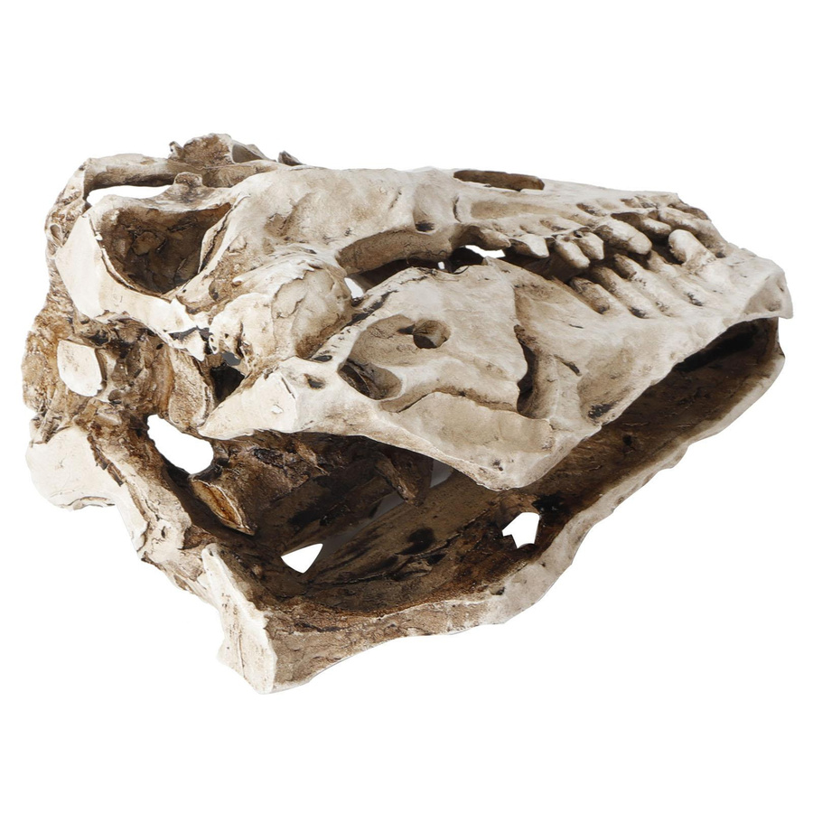 mfySpace Dinosaurier-Schädel aus Harz als Deko-Ornament für Halloween und Sammler, B/T/H: 15 x 15 x 8 cm - Bild 2