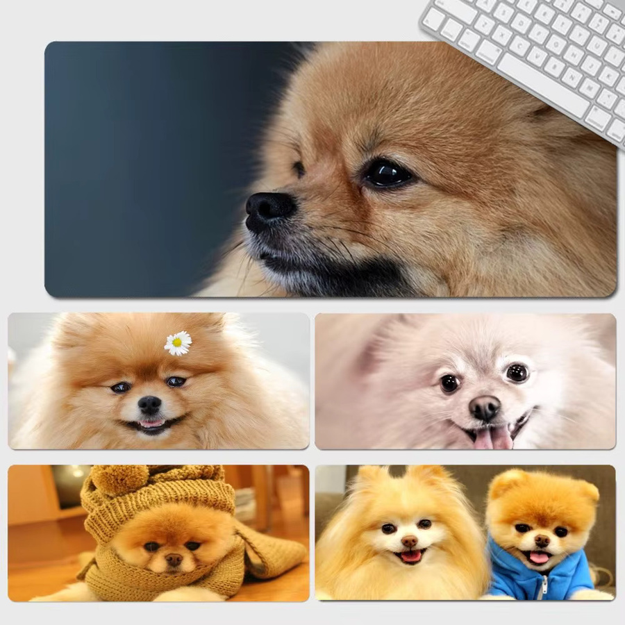 Großes XXL Gaming Mousepad mit süßem Pomeranian Hund Motiv für Gamer und Studenten, Mehrfarbig - Bild 5