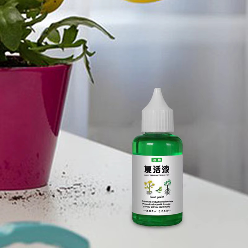 Pflanzenauferstehung Flüssiger Pflanzendünger als Nährstofflösung für Blumen, Obst und Gemüse - Bild 3