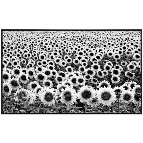papermoon EcoHeat Infrarotheizung Sonnenblumen Schwarz Weiss Matt-Effekt mit App-Steuerung und Überhitzungsschutz - Bild 2
