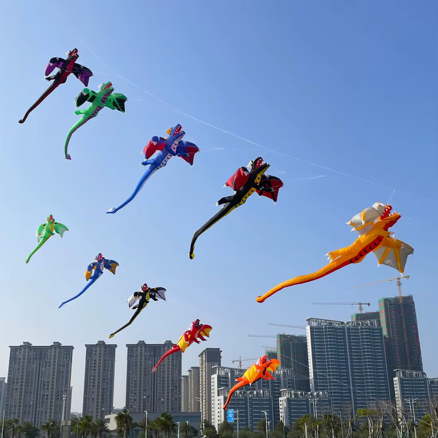 9KM Drachen-Linie zum Aufhängen, aufblasbarer Show-Drachen, bunt, Plüsch / Textil - Bild 2