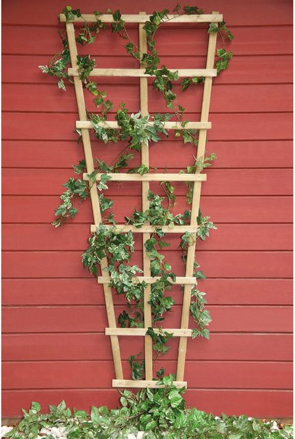 Grünes Rankgitter Trapez aus Holz B: 65 cm, H: 150 cm - Bild 1