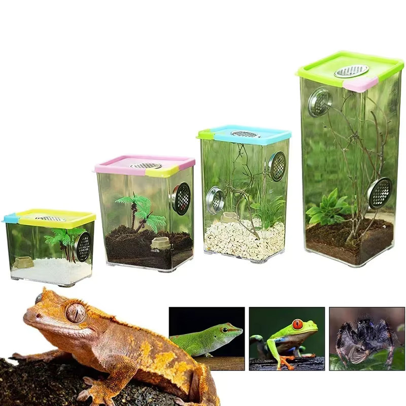 Transparente Zuchtbox aus Acryl für Reptilien, Spinnen, Eidechsen und Insekten - Bild 2