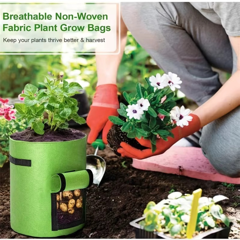 Pflanzbeutel für Gemüseanbau und Süßkartoffeln in Schwarz und Grün, Grow Bags für den Garten - Bild 2