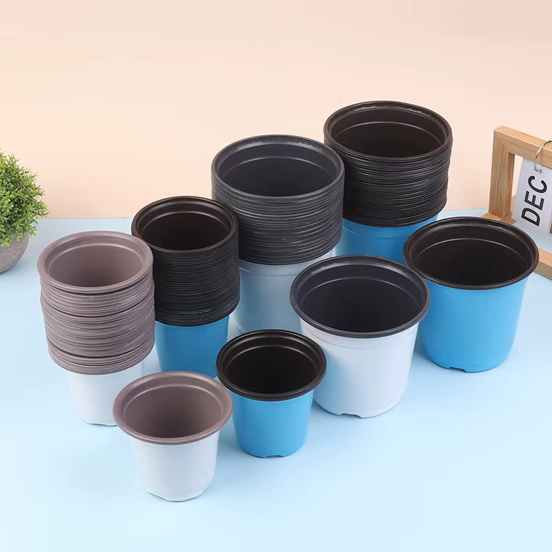 10 Stück zweifarbige Kunststoff-Sämlingtöpfe in Blau zur Sukkulenten-Kultivierung - Bild 2