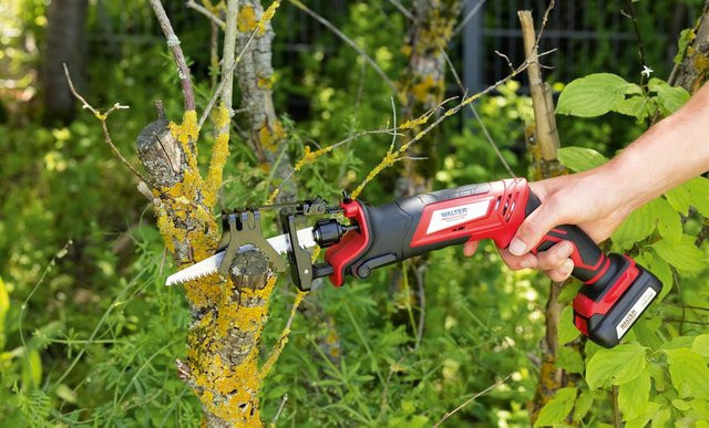 Walter Werkzeuge Li-Ion Akku-Säbelsäge 12V in Rot - Bild 1