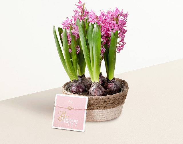 BLUME2000 Zarte Knospen mit Herz-Armband in Pink im Korb für den Außenbereich oder als Tischdekoration - Bild 1