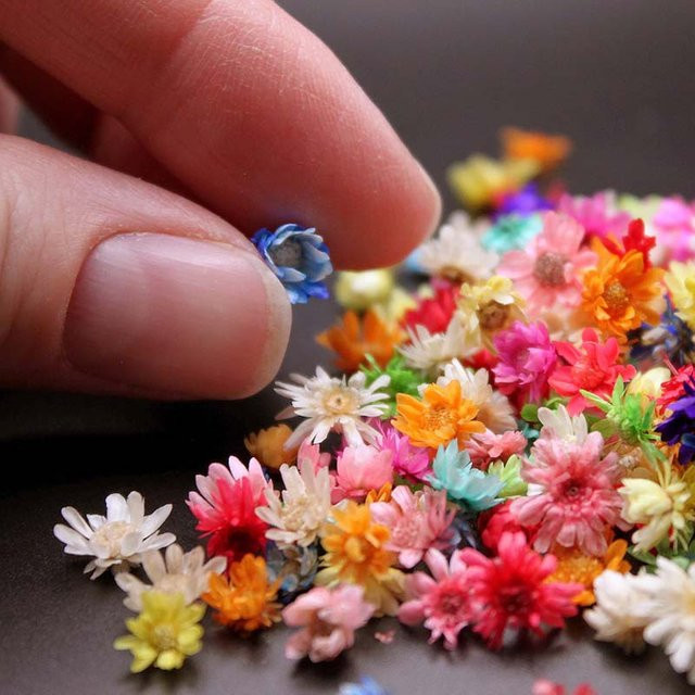 Bunte getrocknete Blumen aus Kunstharz für DIY-Schmuck und Epoxidkunst, 1 Box - Bild 1