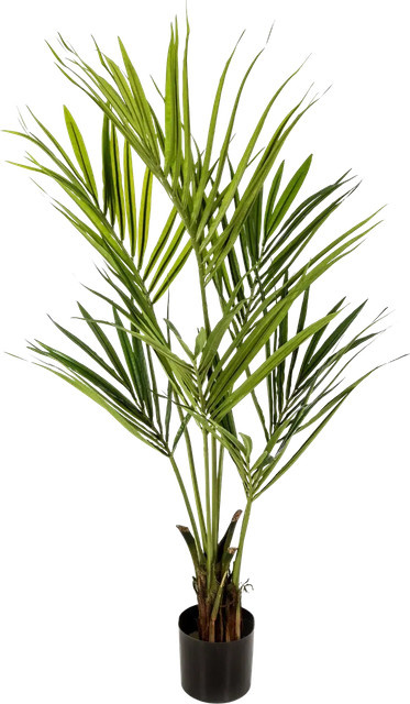 Künstliche Kentia Palme Cataleya von Aplanta, Höhe: 200 cm - Bild 1