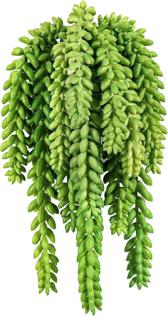 Aplanta Künstliche Hänge-Sedum Hermine Sukkulente, Höhe: 27 cm - Bild 1