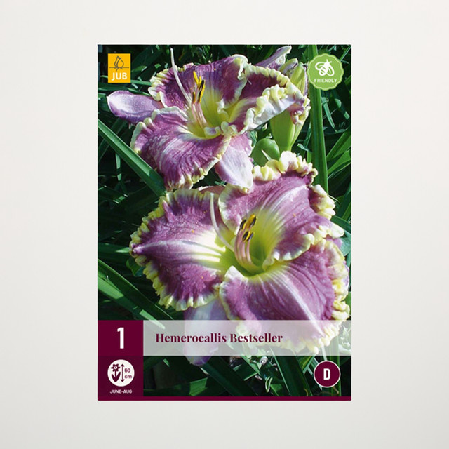 Taglilie Bestseller Knolle von BLUME2000 für Gartenbeete, Blumenkübel, Balkon und Terrasse - Bild 1