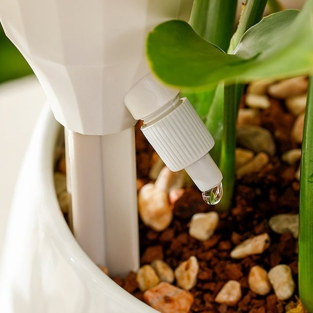 5 Stück automatisches Bewässerungsgerät mit verstellbarem Tropfbewässerungssystem und Mikrosprüher für deine Pflanzen im Garten oder Zuhause - Bild 1