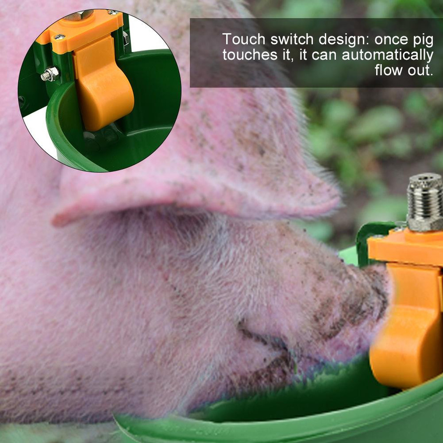 Automatischer Wassernapf für Nutztiere wie Schwein, Schaf, Ziege und Ferkel von mfySpace in Grün - Bild 5