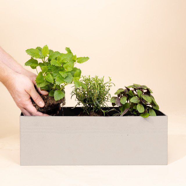 BLUME2000 Plantbox aus Metall in Beige für den Außenbereich, rechteckig - Bild 1