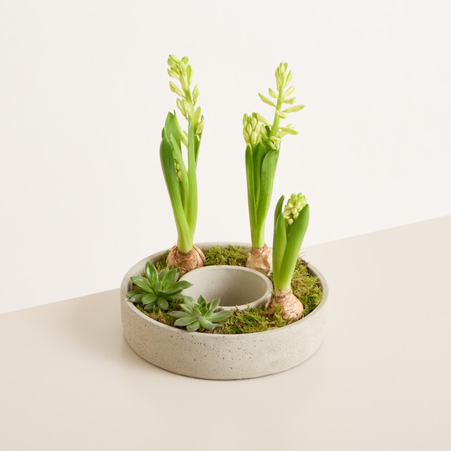 DIY Betonring Spring Blossom von Blume2000 in Weiß und Grau, rund für den Tisch - Bild 1