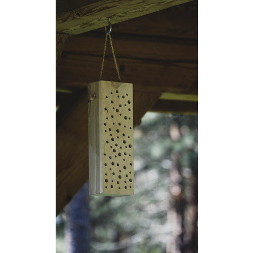 Siena Garden Insektenhotel Silea in Natur Braun B/H/T: 10 x 29 x 6 cm - Bild 2
