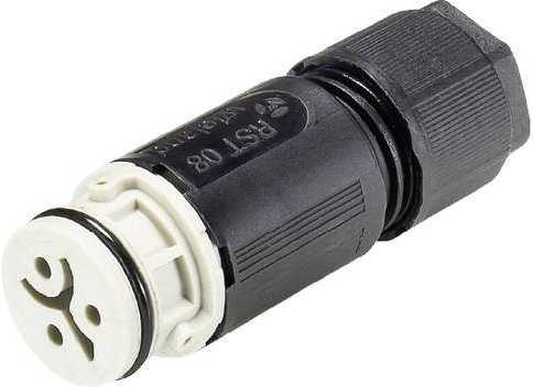 Wieland Electric 4L.031.3051.8 Steckverbinder - Bild 1