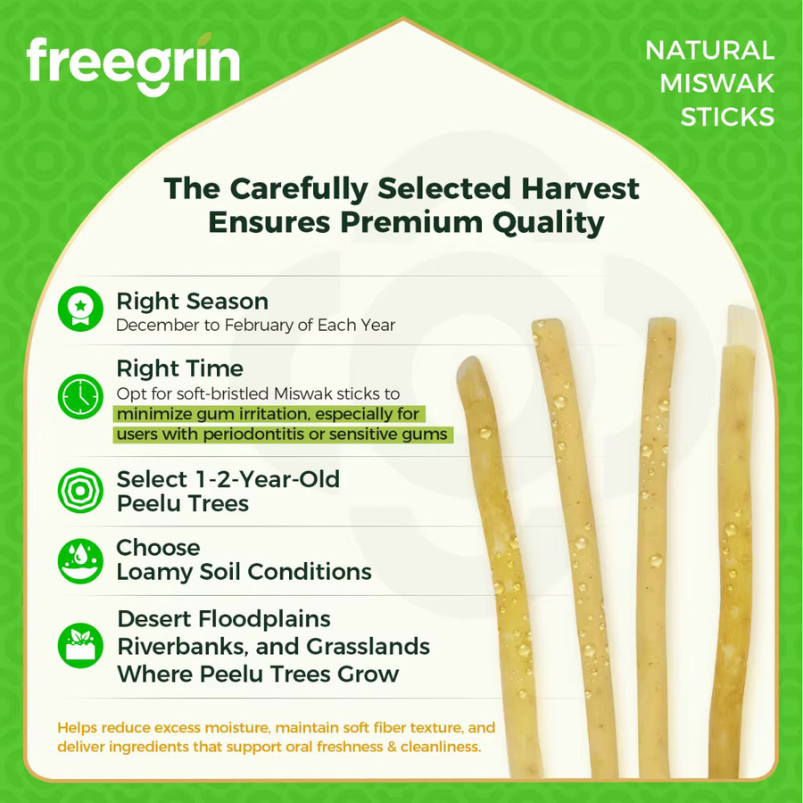 FREEGRIN Miswak-Zahnbürstenstäbchen, Kokosnuss-Aromatisiert - Bild 4
