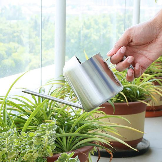 Mini Gießkanne Amusedly aus Edelstahl mit langem Ausgießer für Zimmerpflanzen und Bonsai, Silber, 300 ml - Bild 2