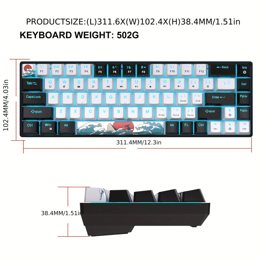 HXSJ Mechanische Gaming-Tastatur mit 68 Tasten und LED-Hintergrundbeleuchtung in Blau/Weiß mit Blue Switches - Bild 4