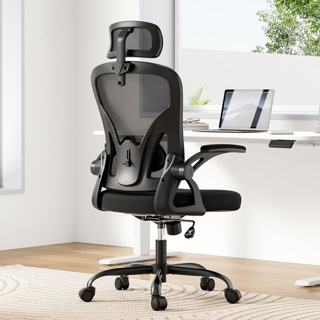 Farini Ergonomischer Bürostuhl in Schwarz mit Kopfstütze, Armlehnen und verstellbarer Lendenwirbelstütze - Bild 1