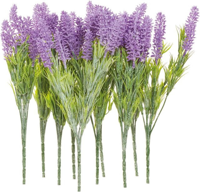 VBS Lavendel-Pick Lavendula in Violett, 10 Stück - Bild 1