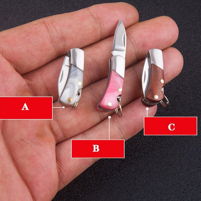Mini EDC Klappmesser aus Edelstahl in Silber als Schlüsselanhänger für Camping und Outdoor - Bild 1