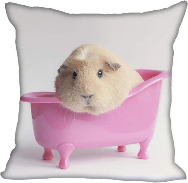 JMG Clothing Kissenhülle Meerschweinchen Modernes Zuhause, doppelseitig bedruckter Kurzplüsch, Farbe: Weiß, B/T/H: 45 x 45 x 0 cm - Bild 1