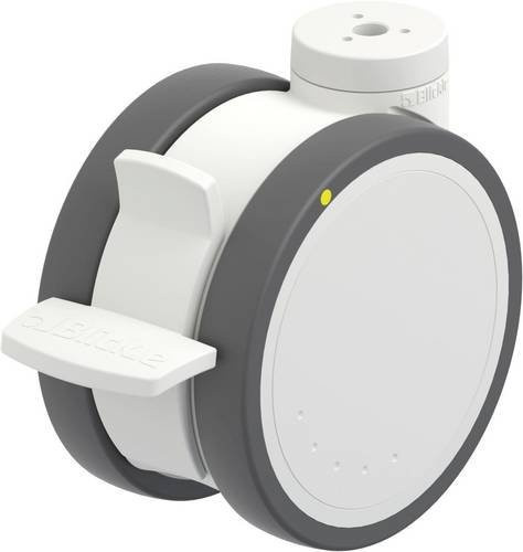 Blickle LKDH-PATH 125K-11-FI-ELS Kunststoff-Doppelrolle in Grau und Weiß mit 125 mm Durchmesser und 125 kg Tragfähigkeit - Bild 1