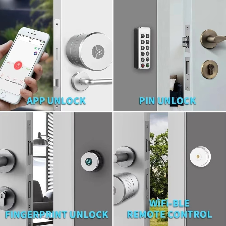 SZJN M531 Smart Türschloss mit Tuya und Wehere App Steuerung, digitales elektronisches Schloss mit Fernbedienung und Original Zylinder, Cut Schlüssel, in Schwarz oder Silber - Bild 3