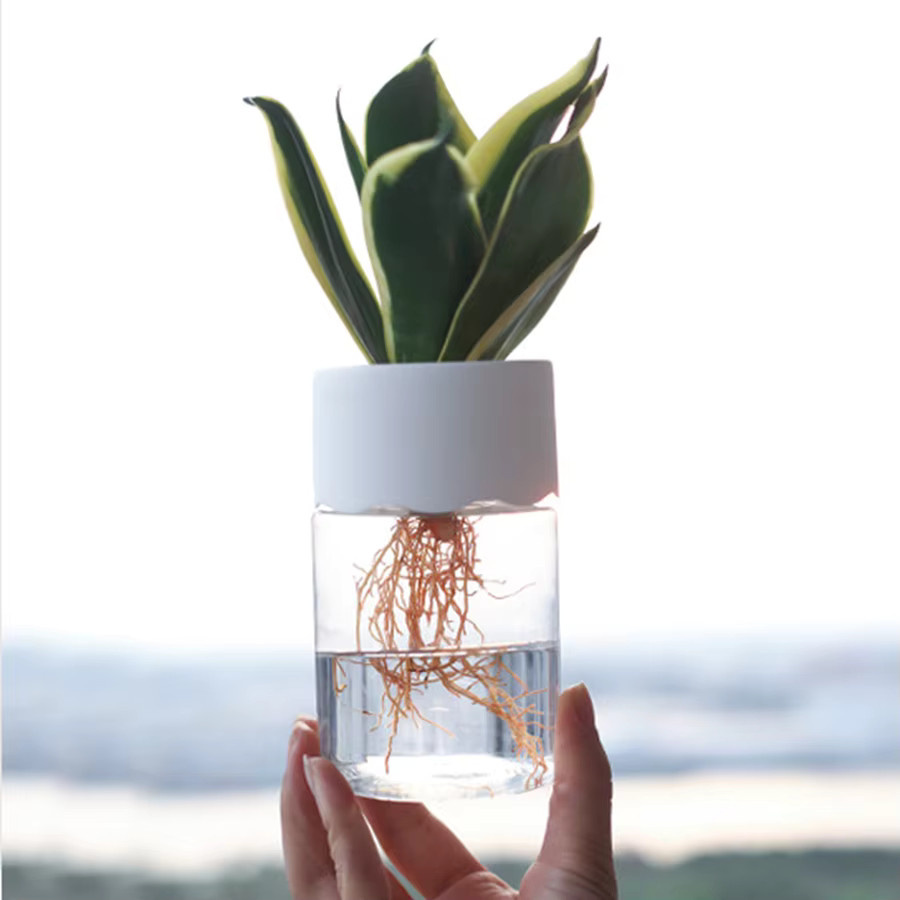 Transparentes Hydrokultur-Set aus Kunststoff für Kinderzimmer und Zimmerpflanzen zur Anzucht von Sämlingen und Orchideen - Bild 1