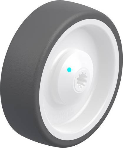 Blickle POTH 125/10KAD Kunststoff-Rad in Grau und Weiß mit 125 mm Durchmesser und 350 kg Tragfähigkeit - Bild 1