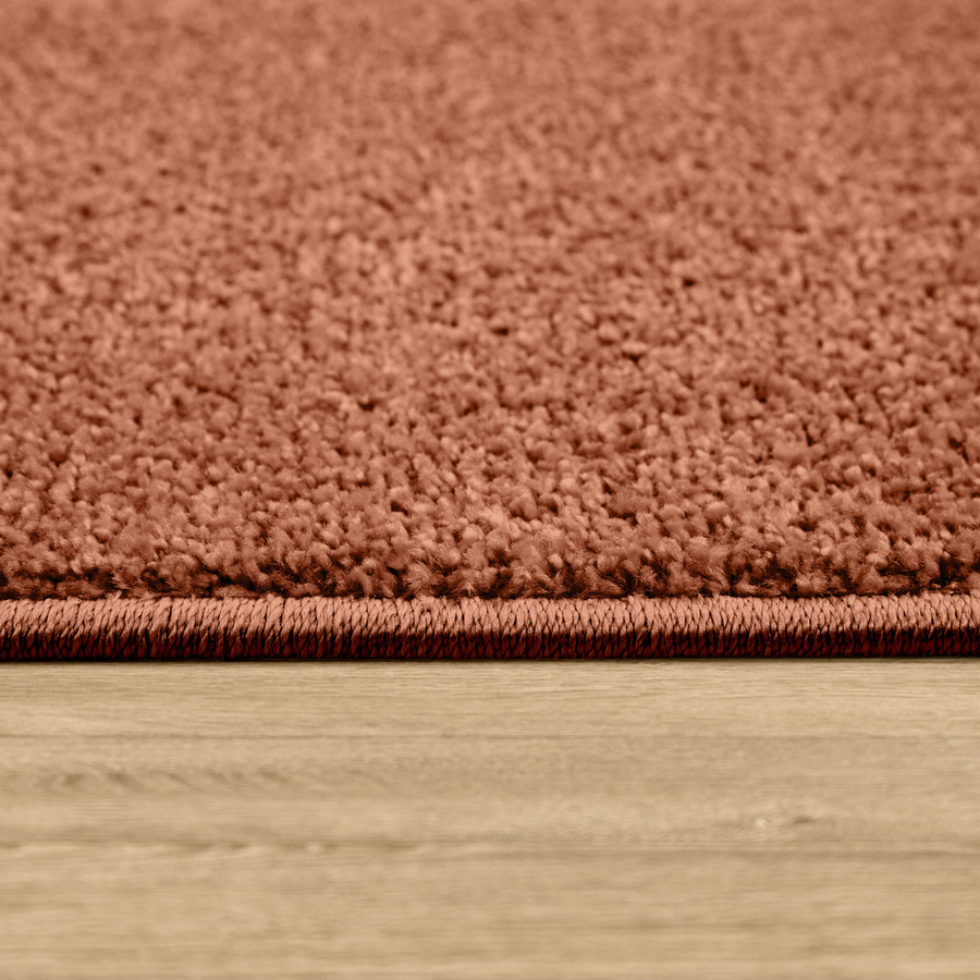 Teppich Portivo in Kupfer, pflegeleicht und strapazierfähig, B: 80 cm, L: 150 cm - Bild 2