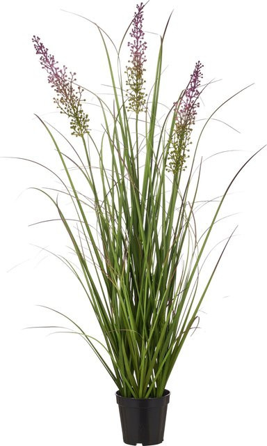 GASPER Grasbusch Pennisetum aus Kunststoff in Lila - Bild 1