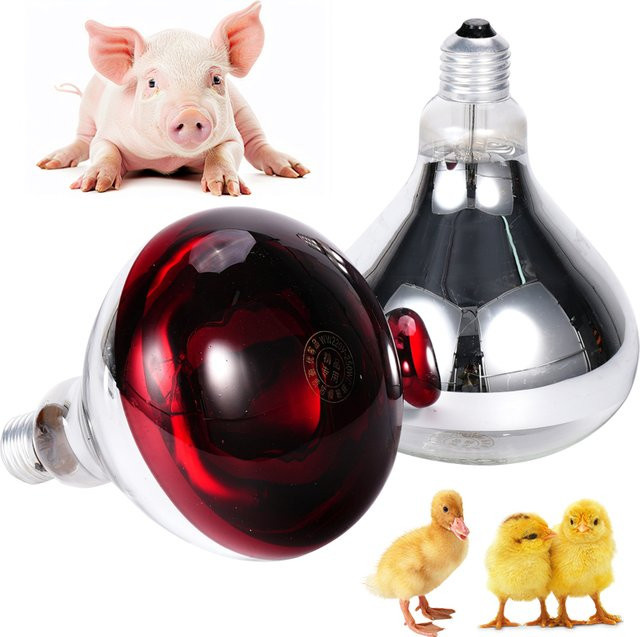 JIECARE Tierzucht-Isolierlampe aus Glas in Weiß mit E27 Fassung und 220 V für Infrarot-Wärmeanwendungen bei Geflügelbrütern und Küken - Bild 1