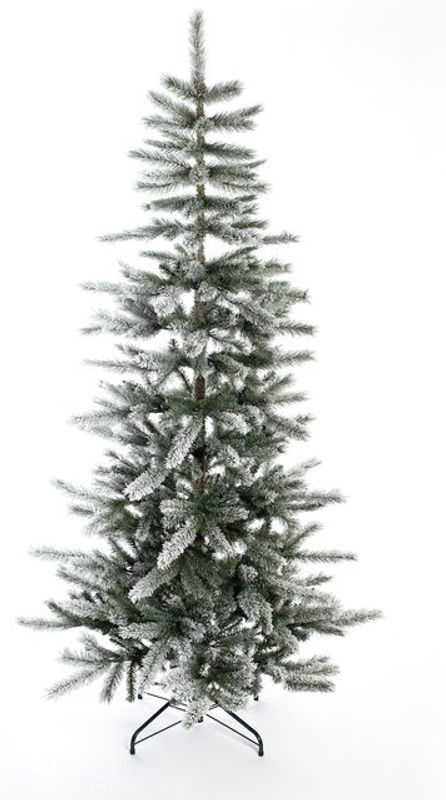 Evergreen Weihnachtsbaum Sherwood Fichte in Grün und Weiß, B/H: 114 x 180 cm - Bild 4