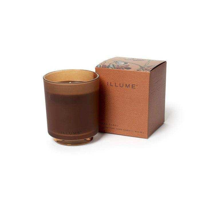 Illume Duftkerze Terra Tabac mit Kaschmir-Moschus und Orange aus pflanzlichem Wachs, 50 g - Bild 1