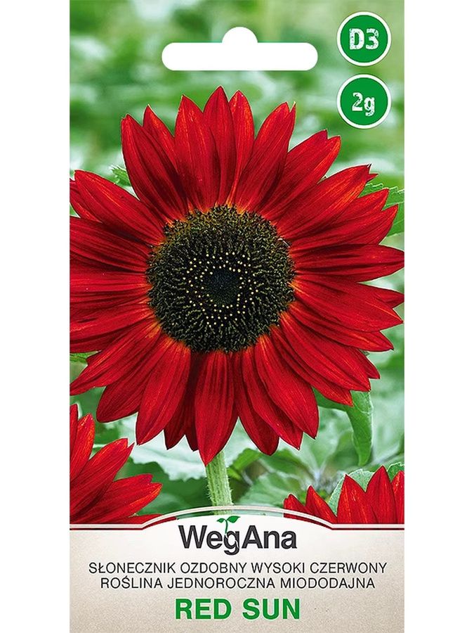 VegAna Sonnenblumen-Zier-Blumensamen Rote Sonne, 2 g - Bild 2