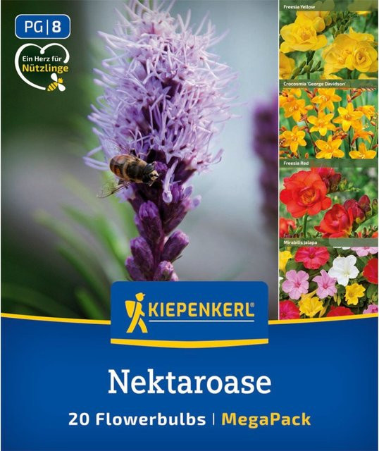 Kiepenkerl Mega-Pack Blumenzwiebelmischung Nektaroase, bunt, 20 Stück - Bild 1