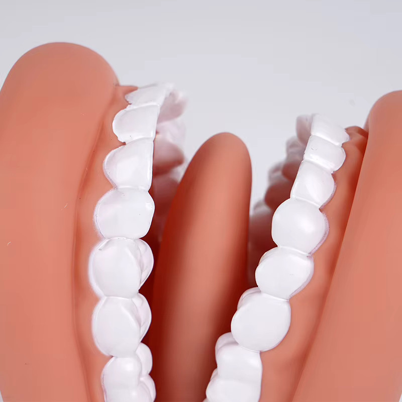 JIECARE Dental Modell Mund Handpuppe mit Zunge, pädagogisch, Rosa / Pink - Bild 2