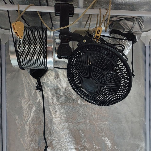 Energieeffizienter Klemmventilator in Schwarz für Indoor-Grow-Zelte und Gewächshäuser mit 2m Stromkabel - Bild 1
