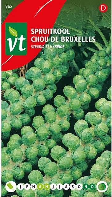 Rosenkohl Steadia F1-Hybride Samen von arborix mit hohem Vitamin-C-Gehalt, 0,3 g - Bild 1
