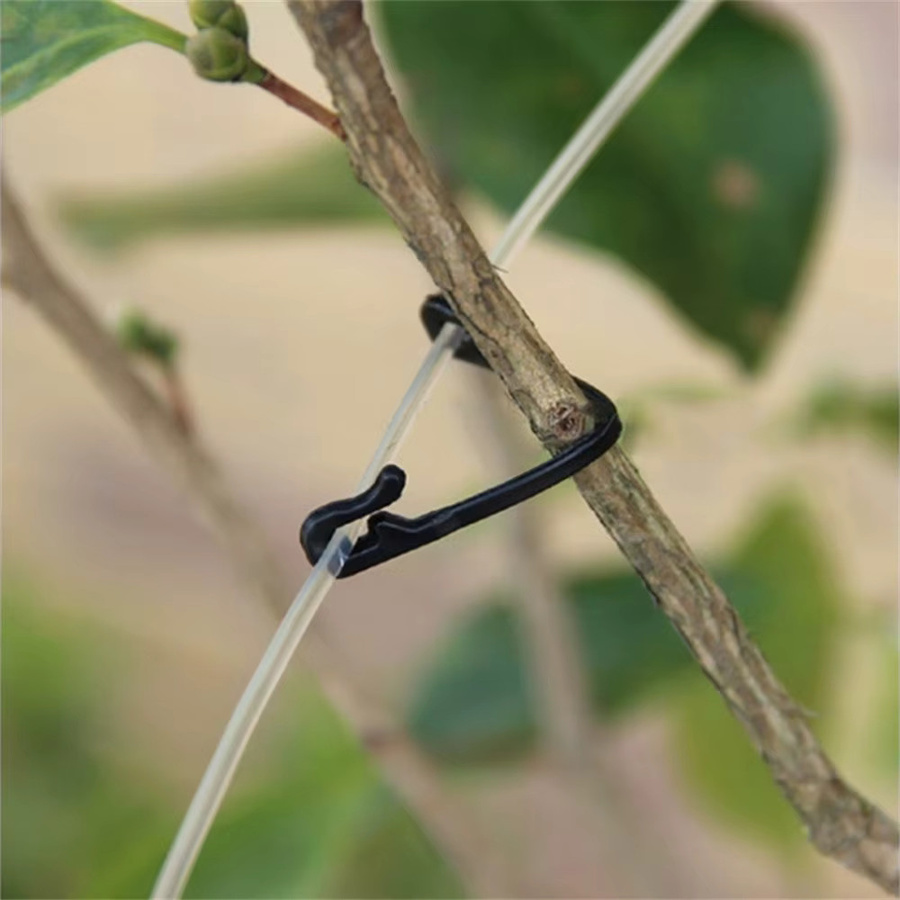 Pflanzenhalter Clips aus Kunststoff mit Schnalle und Haken in Schwarz zur Unterstützung von Reben, Trauben und Gemüse im Garten - Bild 5