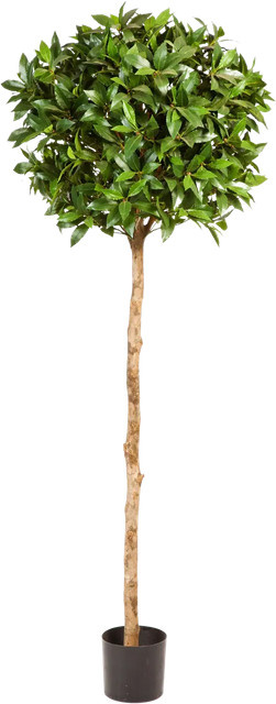 Künstlicher Lorbeerbaum Ronja von Aplanta, Höhe: 140 cm - Bild 1