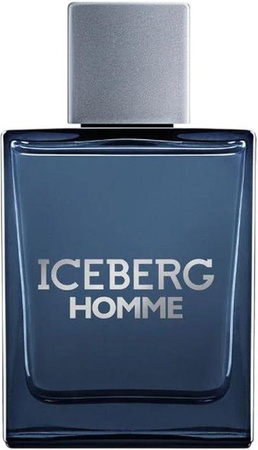 Iceberg Homme Eau de Toilette, 200 ml, Herren