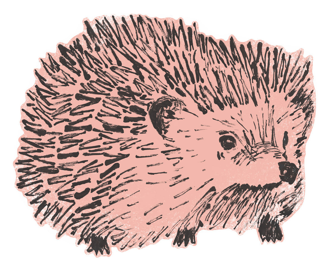 Sian Zeng Wandtattoo Igel in Pink, selbstklebend und organisch - Bild 1