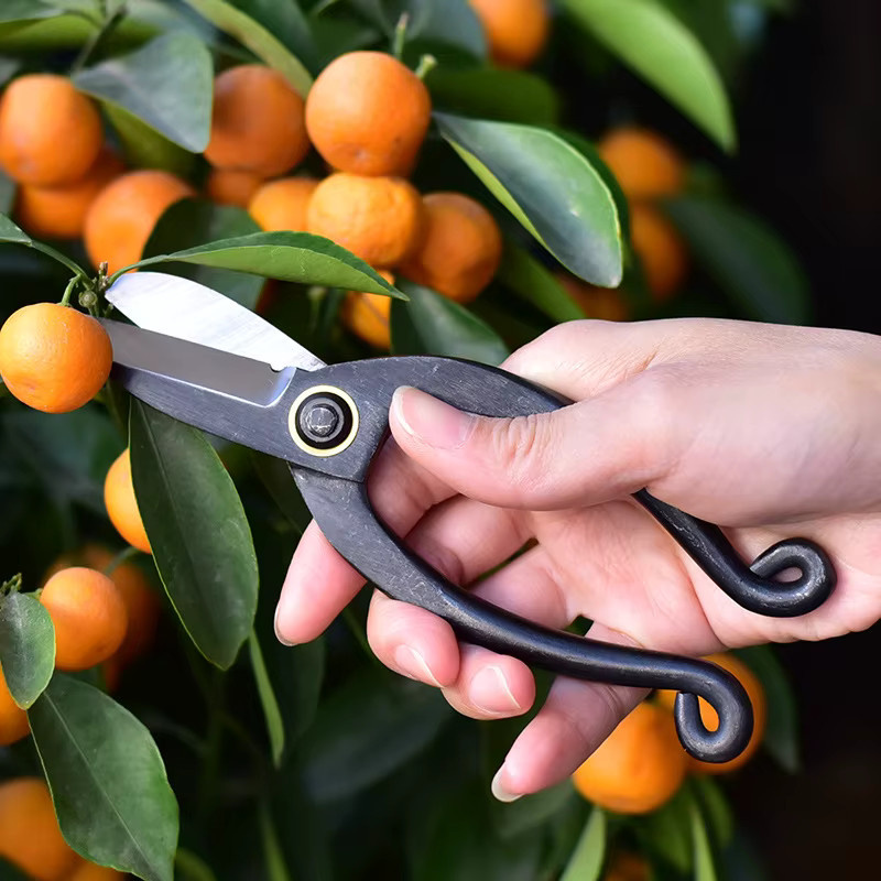 TQSDYY Profi Garten-Beschneiderschere aus High Carbon Stahl in Schwarz für Bonsai, Wurzeln und Pfropfarbeiten - Bild 4