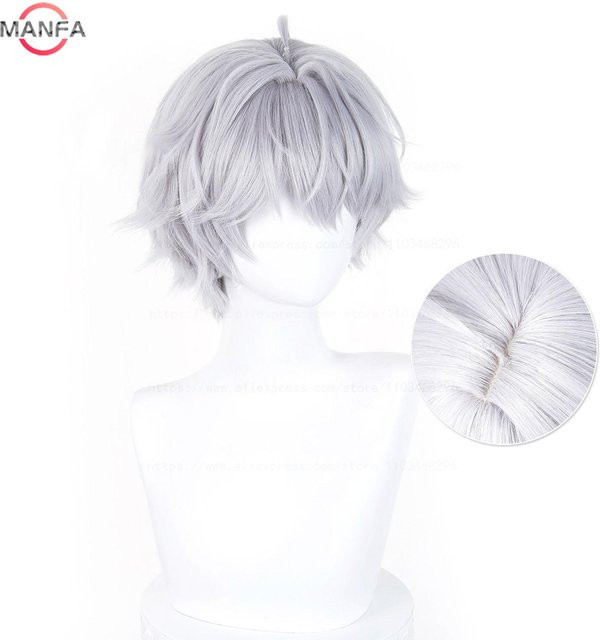 Ardashir Cosplay Perücke, Silber Grau, Hitzebeständig, Synthetisch - Bild 1