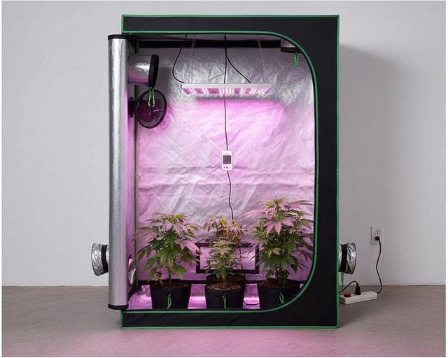 Pflanzzelt Growbox aus hochreflektierendem Mylar mit Sichtfenster, Bodenwanne und Reißverschluss für Indoor-Pflanzen, B/T/H: 120 x 60 x 180 cm - Bild 1